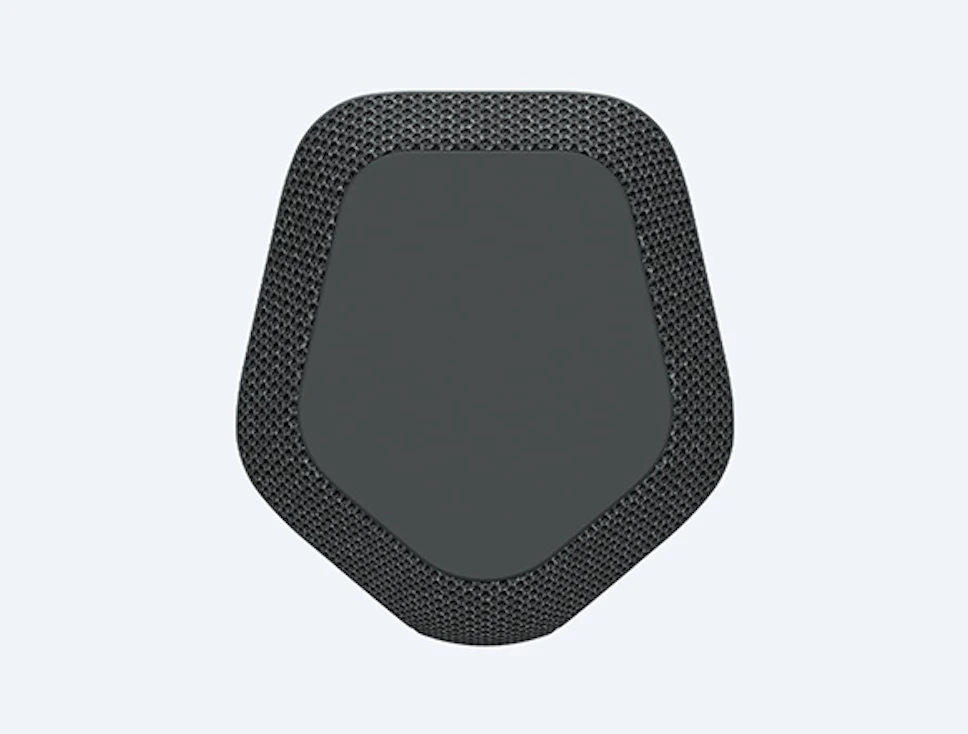 Głośnik Sony SRS-XE300 Czarny